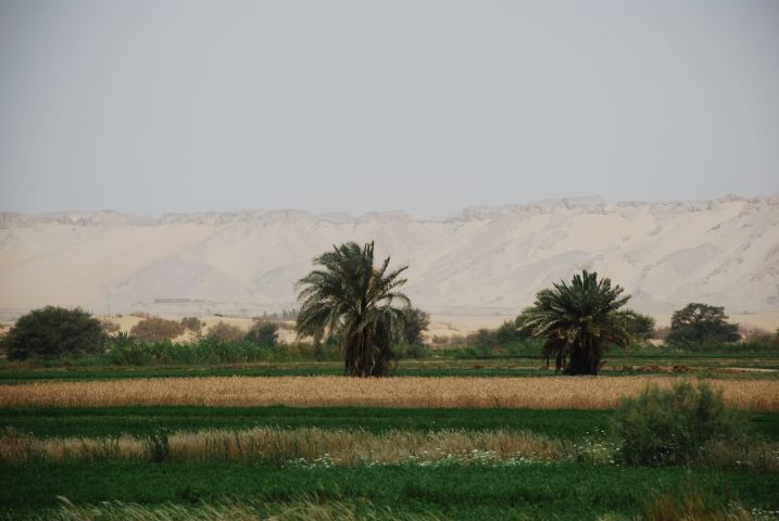 El Kharga-Oase in der Westlichen Wüste