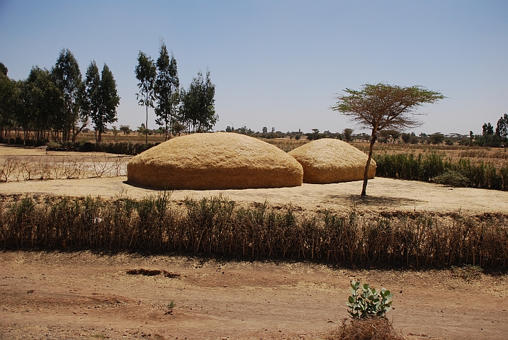 Teff-Speicher im Rift Valley in der Nähe von Mojo südöstlich von Addis Ababa