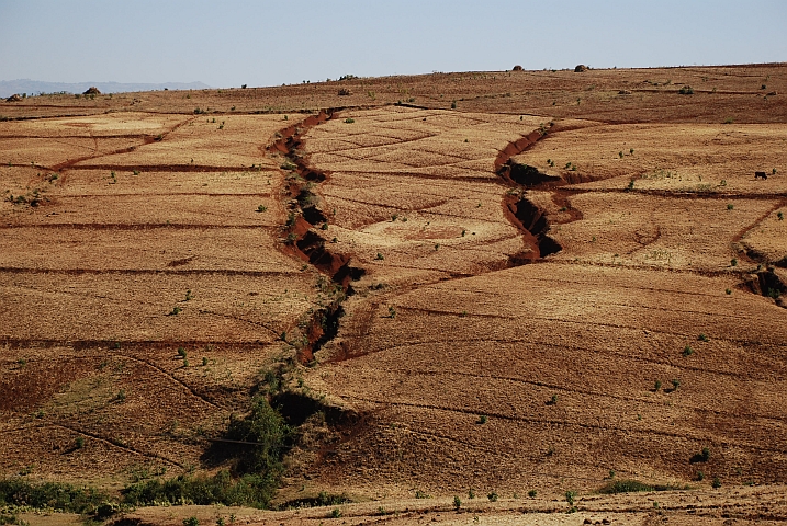 Felder im Hochland zwischen Debre Markos und Bahir Dar