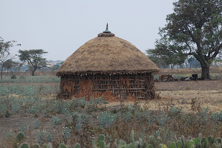 Behausung westlich von Shashemene im Süden von Äthiopien