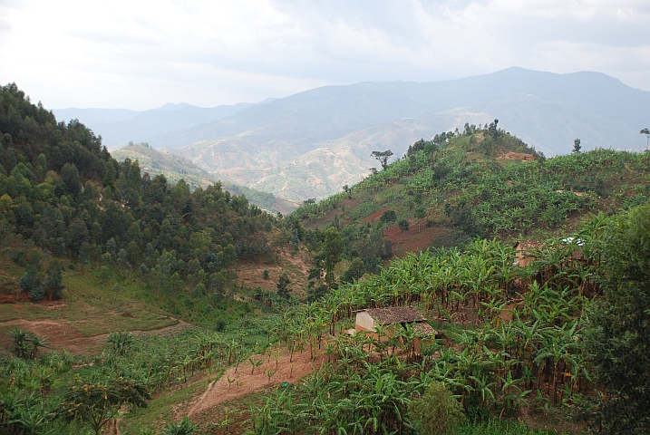 Hügelige Landschaft zwischen Muramvya und Bujumbura