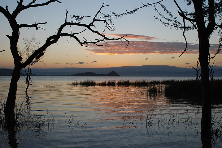 Morgenstimmung am Lake Baringo