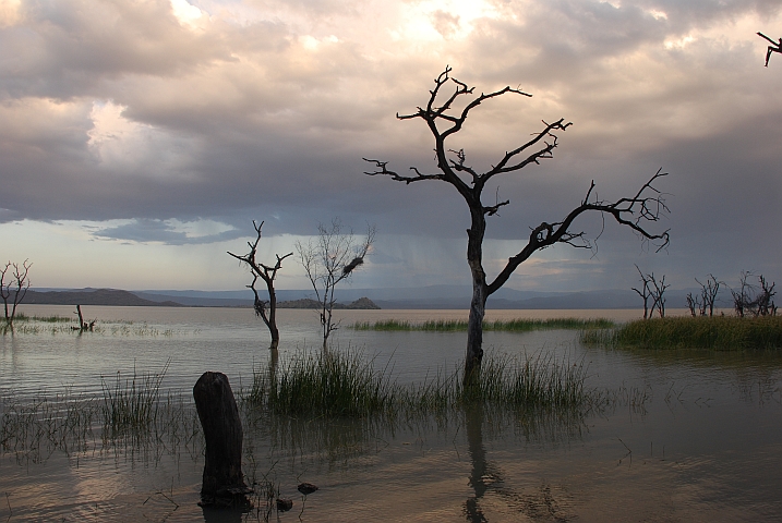 Gewitterstimmung am Lake Baringo