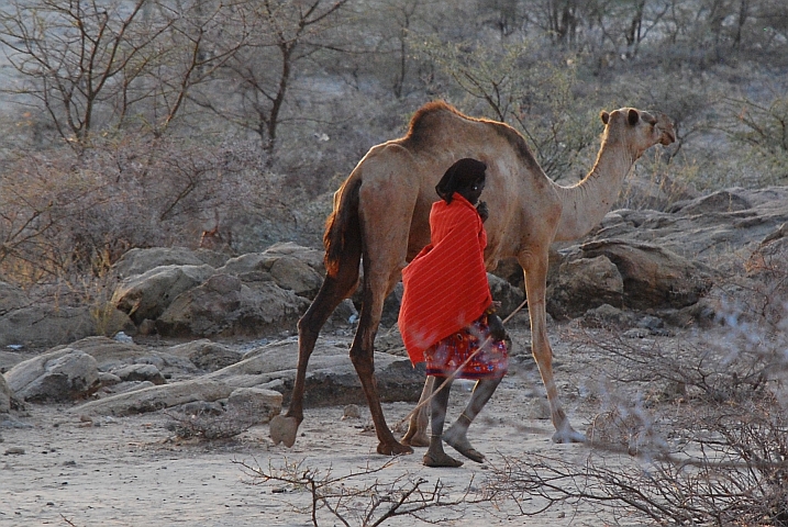 Samburu mit seinem Kamel in Laisamis