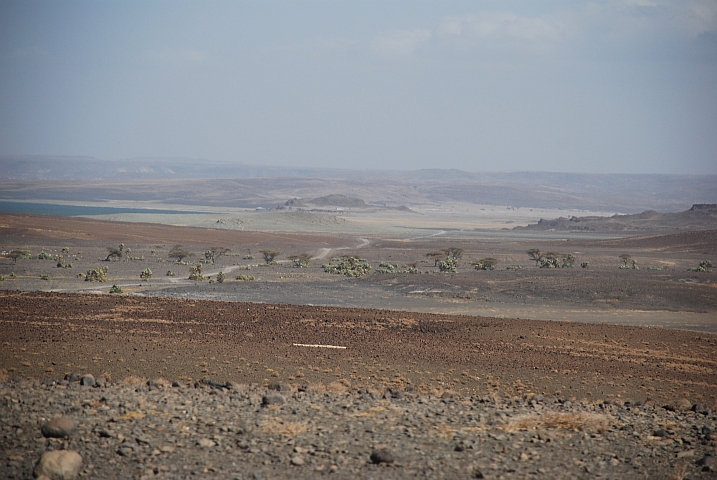 Landschaft zwischen Loiyangalani und North Horr