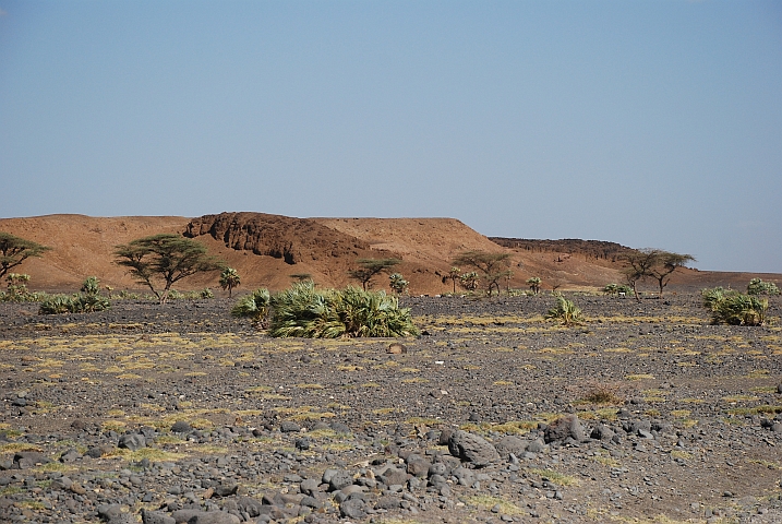 Landschaft zwischen Loiyangalani und North Horr