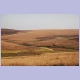 Hügelige Grassteppe, die typische Landschaft des Nyika Plateaus