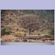 Strand mit grossem Baobab am Nordrand von Chembe am Cape Maclear