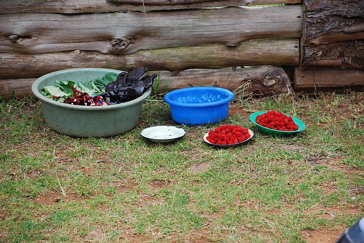 Es werden Himbeeren verkauft