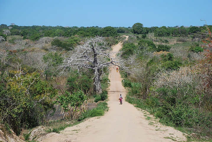 Piste um die Baia da Condúcia auf dem Weg nach Nacala