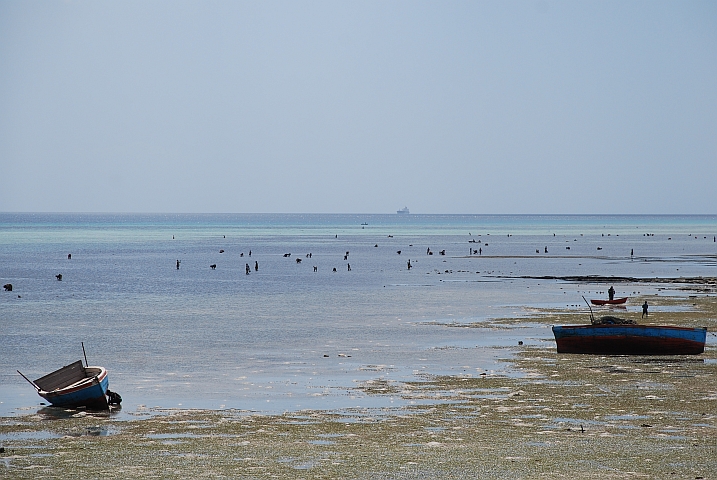 An der Baia Fernão Veloso bei Ebbe