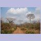 Piste auf dem Weg zur tansanischen Grenze westlich von Mocimboa do Rovuma