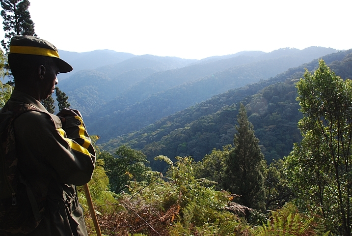 Ein Ranger im Nyungwe Nationalpark, einem Regenwaldschutzgebiet