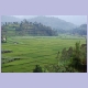 Reisfelder bei Hanika