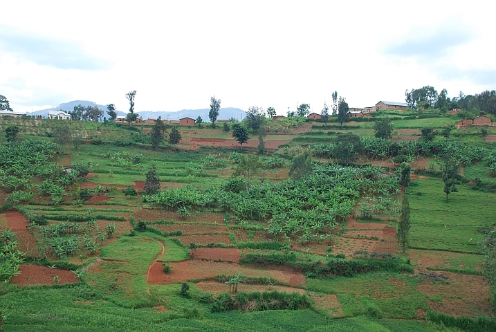 Einer der tausend Hügel zwischen Ngoma und Kibuye