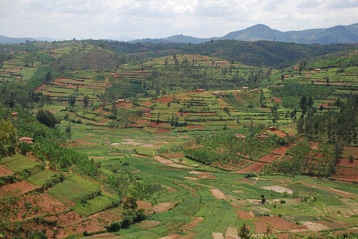 Landschaft zwischen Rubengera und Gitarama im Zentrum von Ruanda