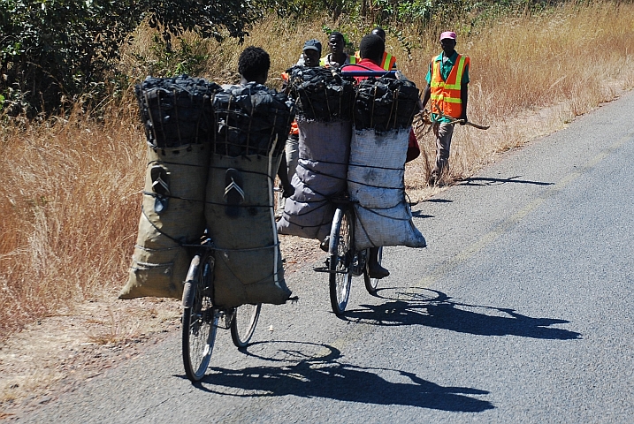 Holzkohletransport mit dem verbreitetsten Transportmittel in Sambia, dem Fahrrad