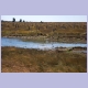 Verkohlte Termitenkegel am Rande der Bangweulusümpfe bei der Luapulabrücke