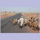 Im Gegensatz zu Äthiopien treibt im Sudan der Hirte Schafe und Ziegen von der Strasse