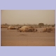Beduinenzelte südöstlich der Hauptstadt Khartoum