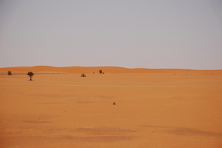 Quer durch die Wüste auf dem Weg von Khartoum nach Abu Dom, das ebenfalls am Nil liegt