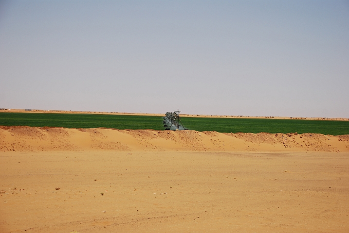 Kreisrunde, bewässerte Felder mitten in der Wüste nordwestlich von Khartoum