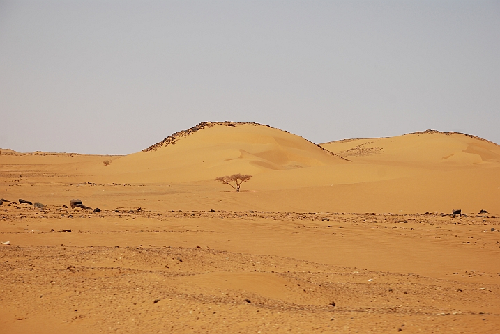 Bayudawüste zwischen Khartoum und Abu Dom