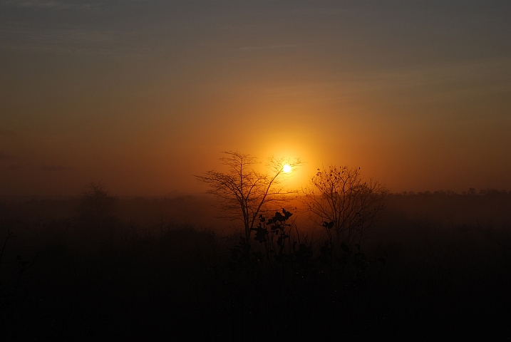 Morgenstimmung in der Nähe von Mgambo