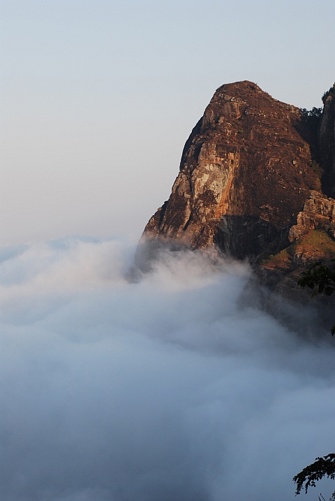 Blick vom Irente Viewpoint