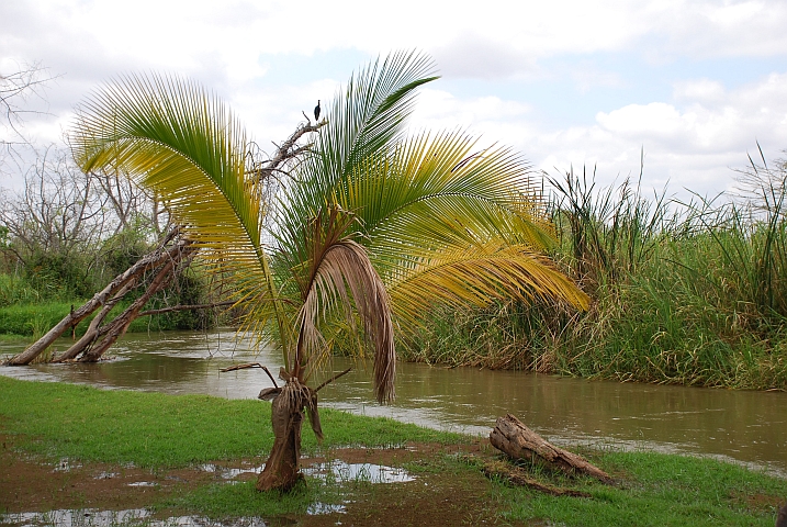 Am Pangani River bei Buiko