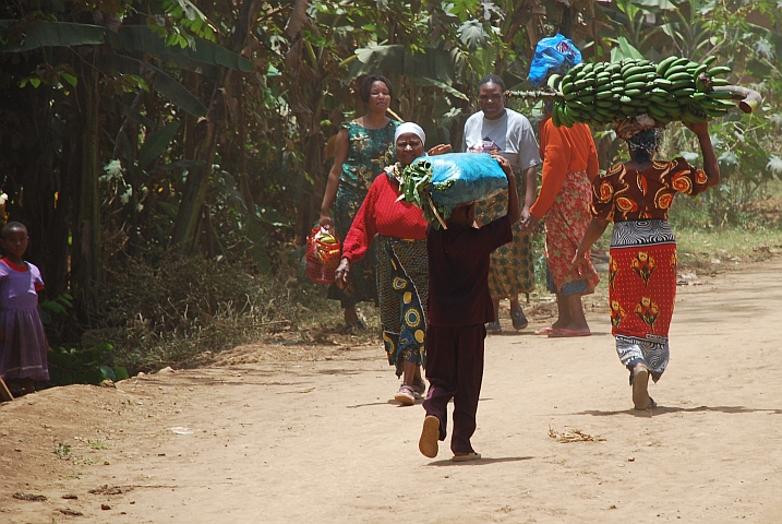 Frauen zum Teil mit Bananen als Traglast auf dem Kopf in der Nähe von Marangu am Fusse des Kilimanjaro