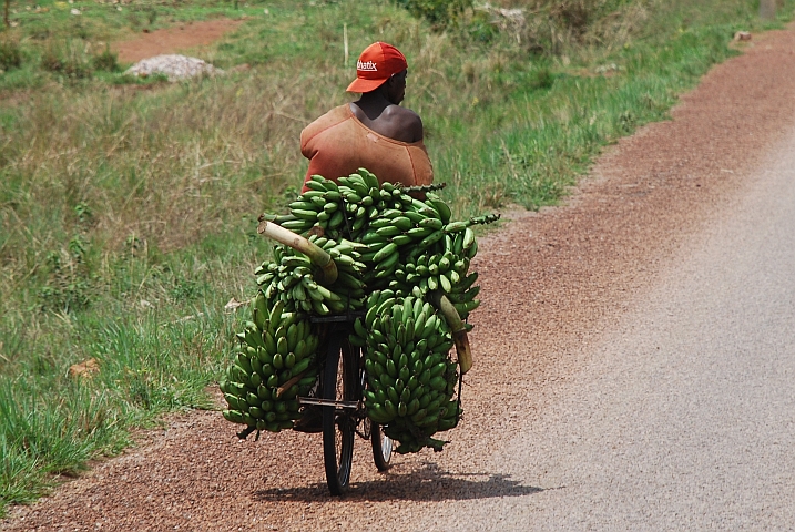 Bananentransporteur an der Grenze zu Burundi