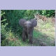 Ein vorwitziges Elefantenbaby