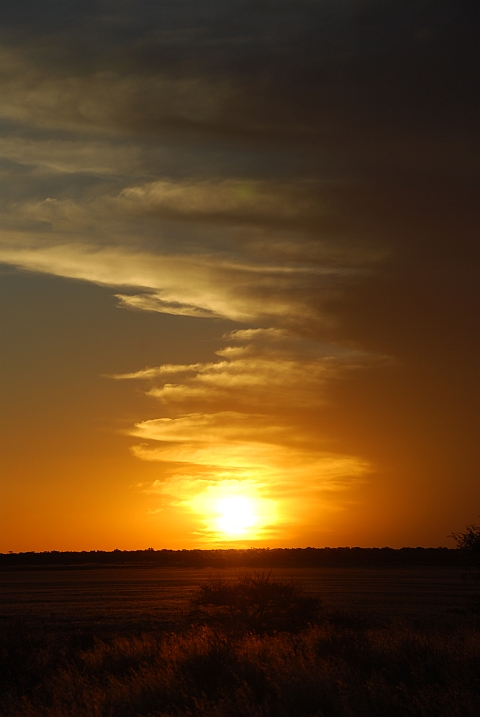 ... und noch ein Sonnenuntergang über der Kalahari (Bosobogolo Pan, Kgalagadi Nationalpark)