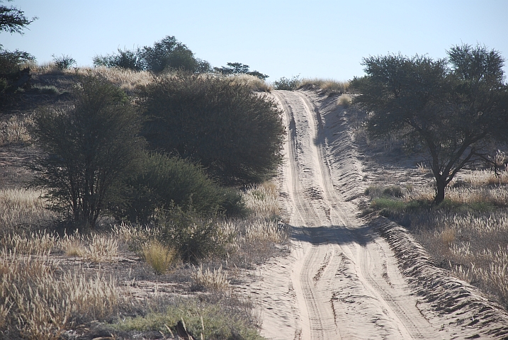 Die Sandpiste, die über 163km Mabuasehube mit Nossob verbindet