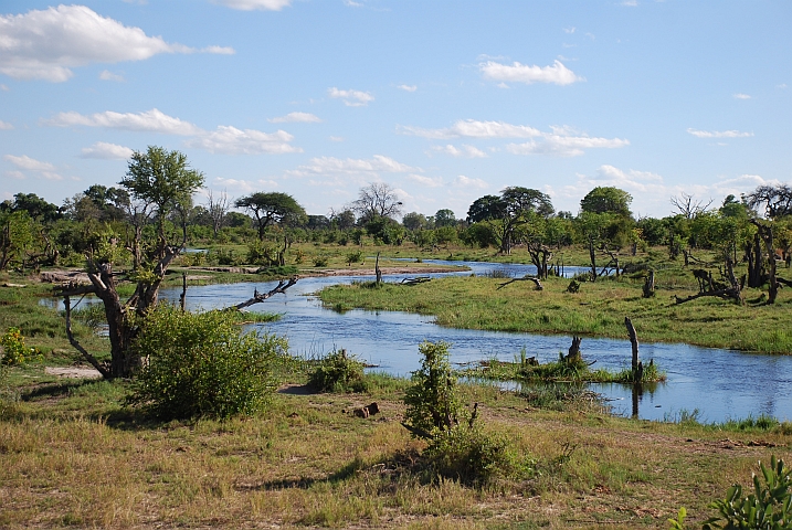 Khwai River im Chobe Nationalpark