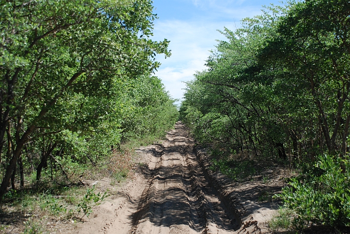 Sandpiste im Chobe Nationalpark: Einmal so...