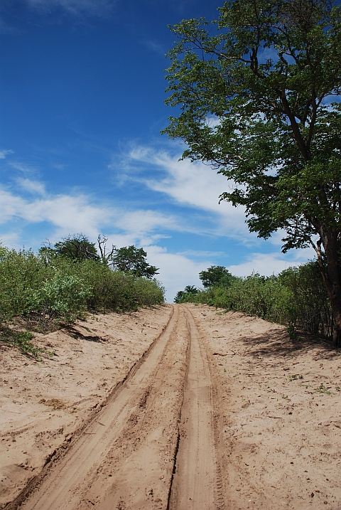 Die Piste von Savuti zum Ghoha Gate