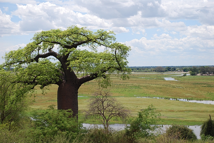 Der Chobe Fluss beim Ngoma Grenzübergang