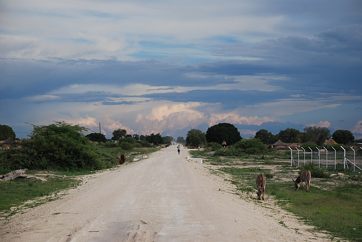 Piste auf der Nordseite des Okavango Panhandle bei Mohembo