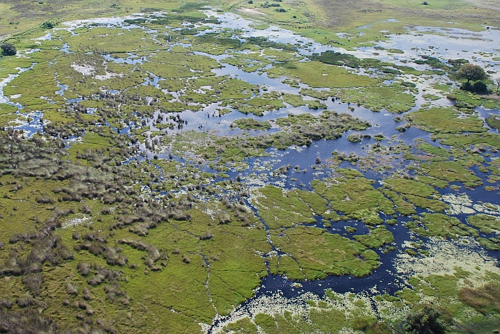 Das Okavango-Delta aus der Luft