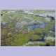 Das Okavango-Delta aus der Luft