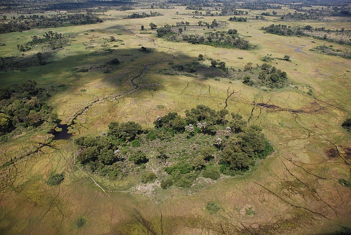 Inseln in der Sumpflandschaft des Okavango-Deltas 