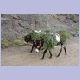 In Lesotho sind Esel wieder ein gängiges Transportmittel