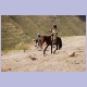 Hirten unterwegs mit einem Basotho-Pony