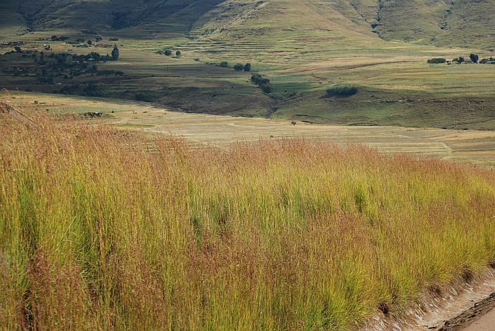 Landschaft bei Pitseng