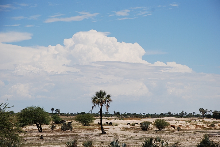 Die kleine Regenzeit lässt ganz im Norden Namibias Gewittertürme entstehen