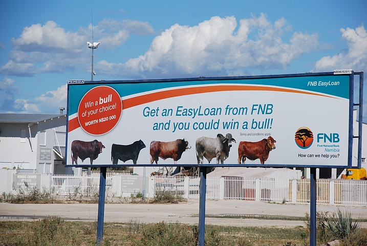 Werbung in Ondangwa: Bankkredit aufnehmen und einen Stier gewinnen
