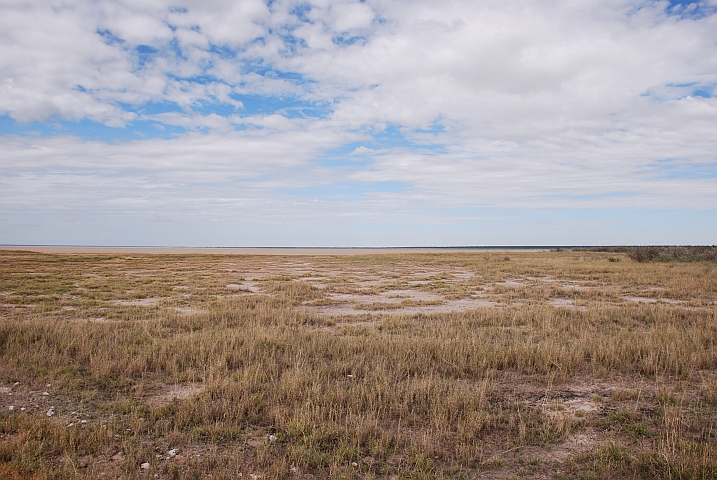 Am Rande der Etosha-Pfanne