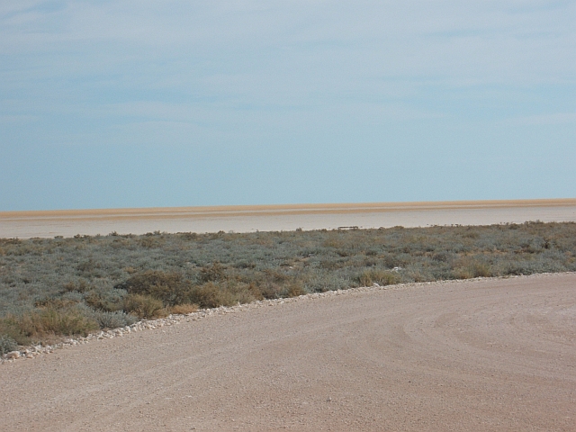 Blick in die Etosha-Pfanne